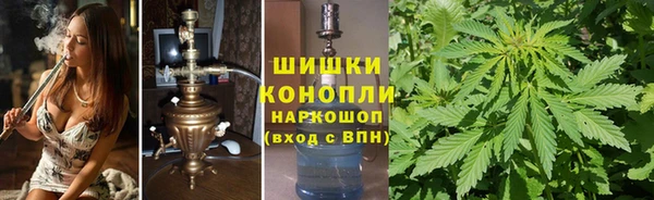 спайс Алексин